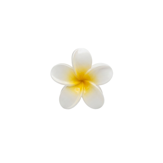 Pinza De Pelo Flor Beige