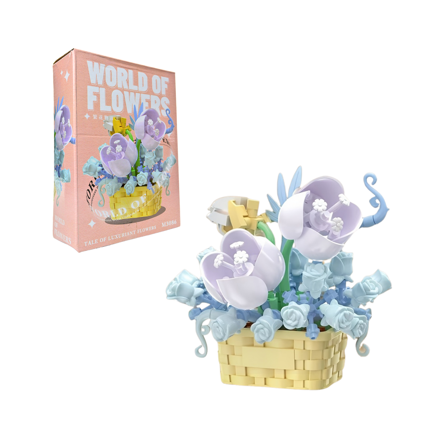 Giftbox Niños - Mini Explorer